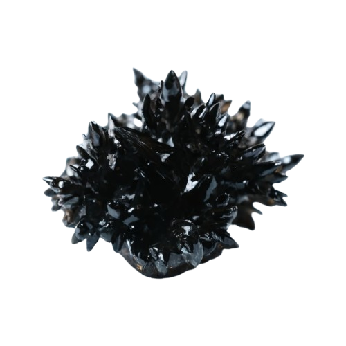 Black Dendrite - crystinfo.com