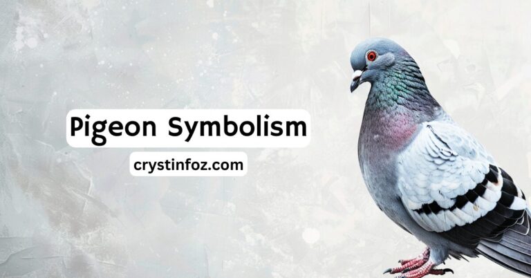 Pigeon Symbolism: Exploring Peace, Love,Spirituality, and Resilience