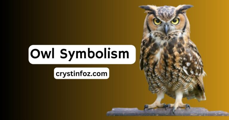 Owl Symbolism: Wisdom, Change, Intuition and Transformation